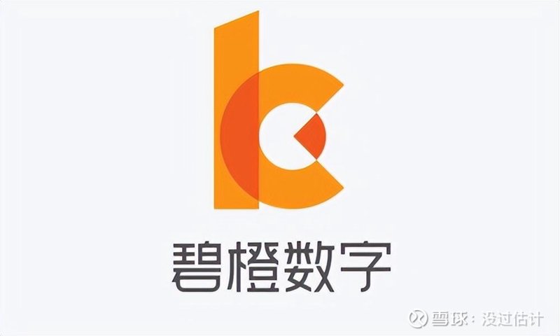 上海电商代运营：推动本地零售业转型升级的新引擎